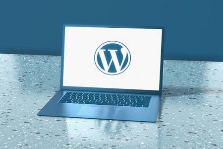 Wordpress Web designer, Website design services in Pretoria and Johannesburg